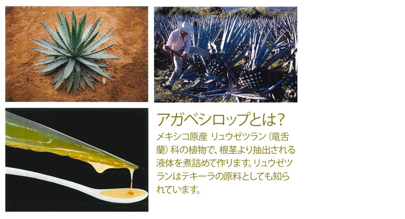 ���A�A�K�x �I�[�K�j�b�N�A�K�x�V���b�v 360g