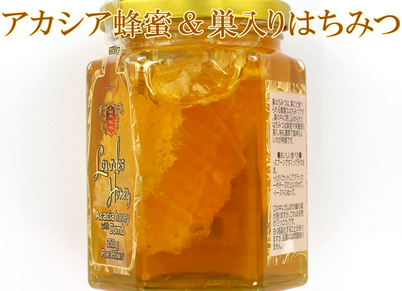 �n���K���[�Y ������ �A�J�V�A�n�`�~�c