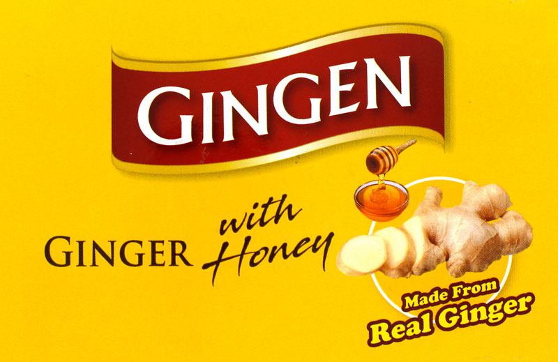 GINGEN �n�j�[�W���W���[�p�E�_�[�h�����N 