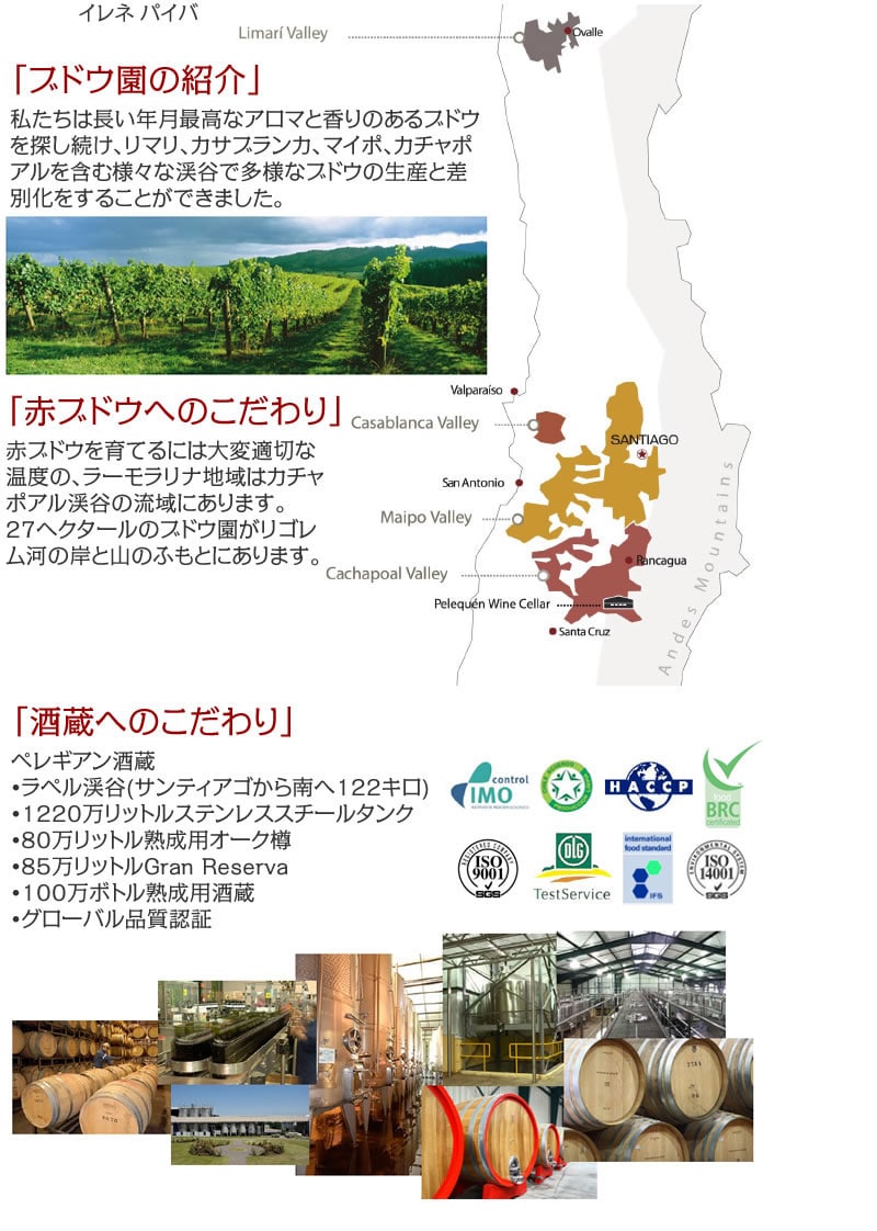  �`���Y�ԃ��C�� �r�X�^�}�[���E�u���[�U�@�J�x���l�\�[���B�j���� 