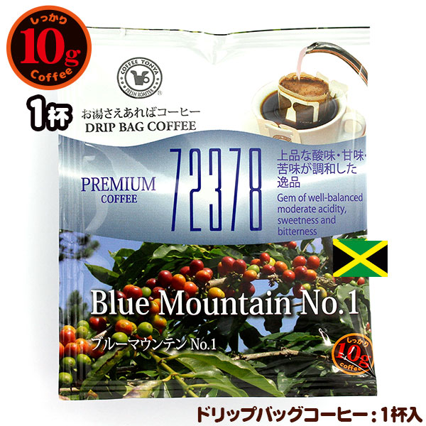 72378 10g�h���b�v�o�b�O �u���[�}�E���e��No.1