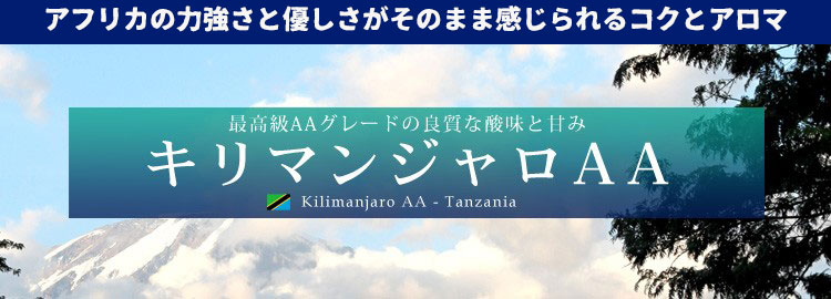 ���ʂȓ��Ɉ��݂���10g�h���b�v�o�b�O�R�[�q�[�V���[�Y