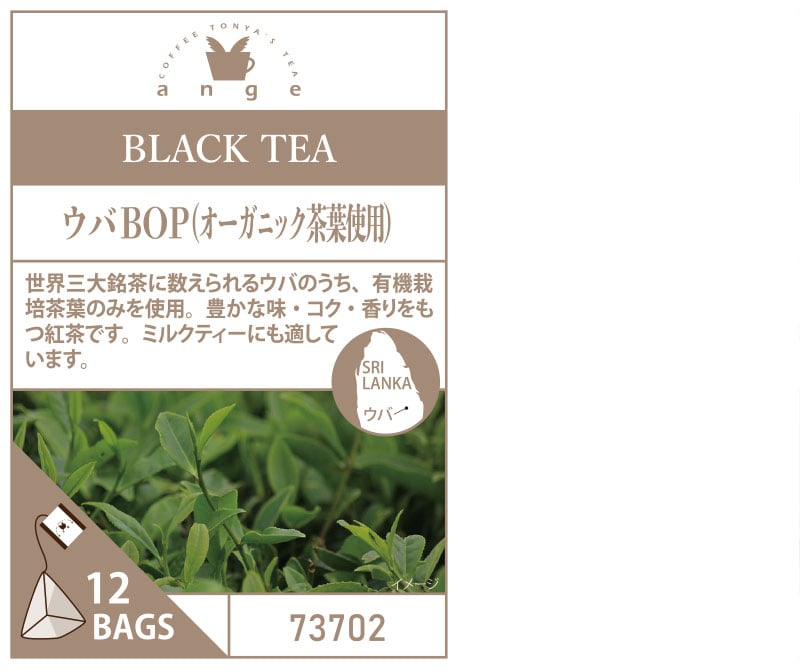 �A���W�F�e�B�[�o�b�O12TB  