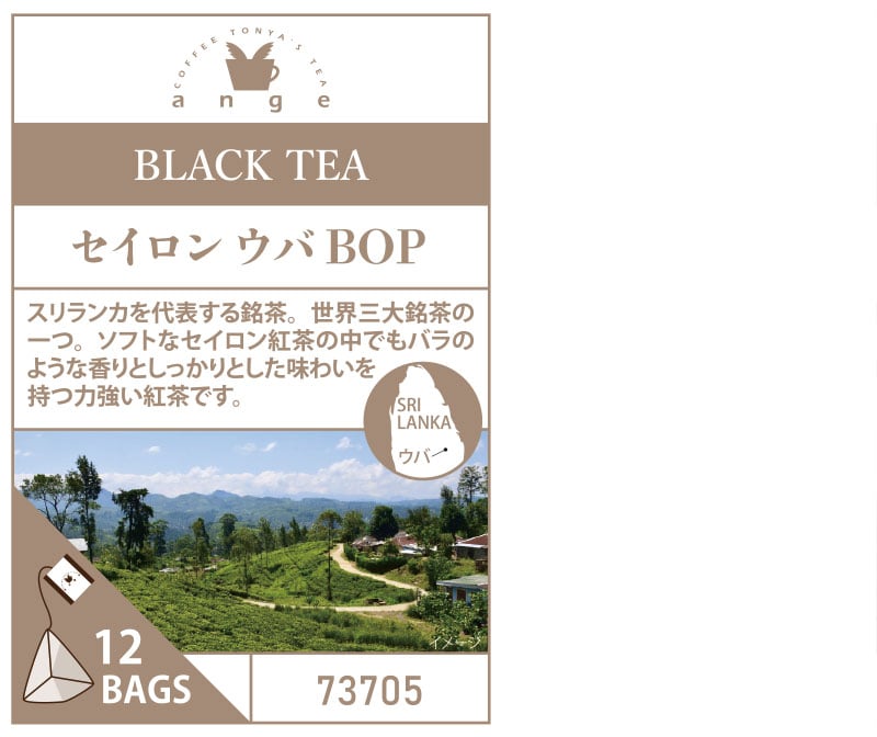 �A���W�F�e�B�[�o�b�O12TB  