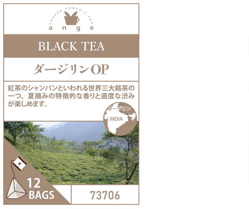 �A���W�F�e�B�[�o�b�O12TB  