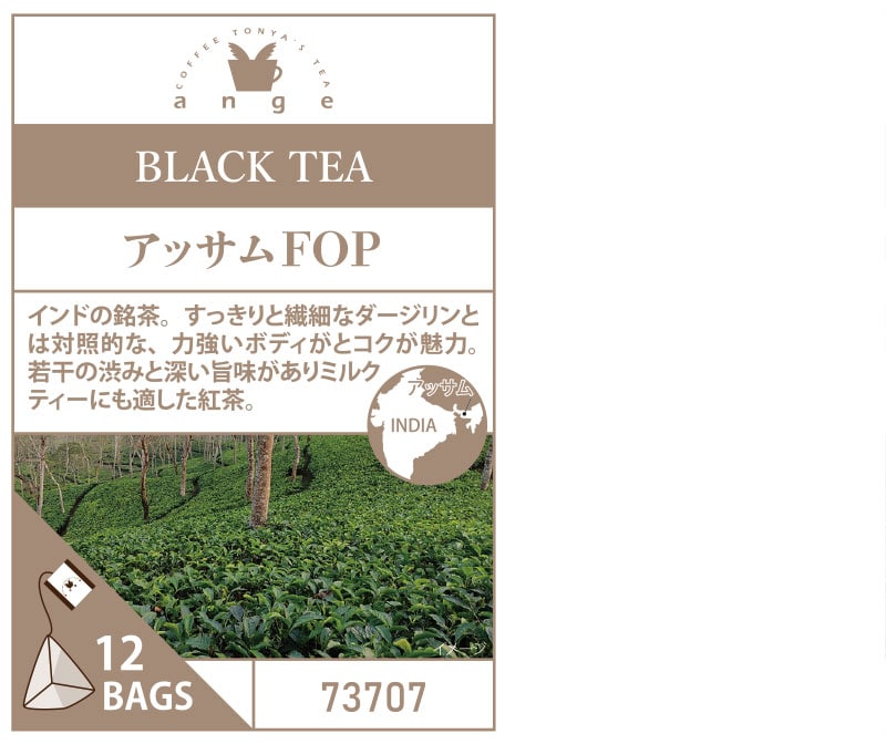 �A���W�F�e�B�[�o�b�O12TB  