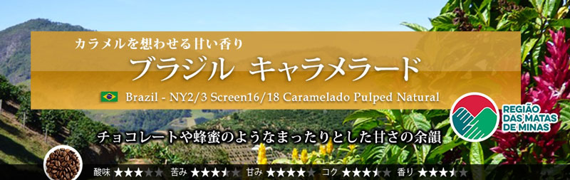 �u���W�� �L���������[�h 