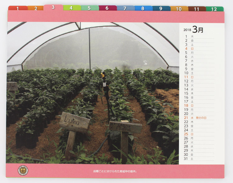 ����≮���J�����_�[