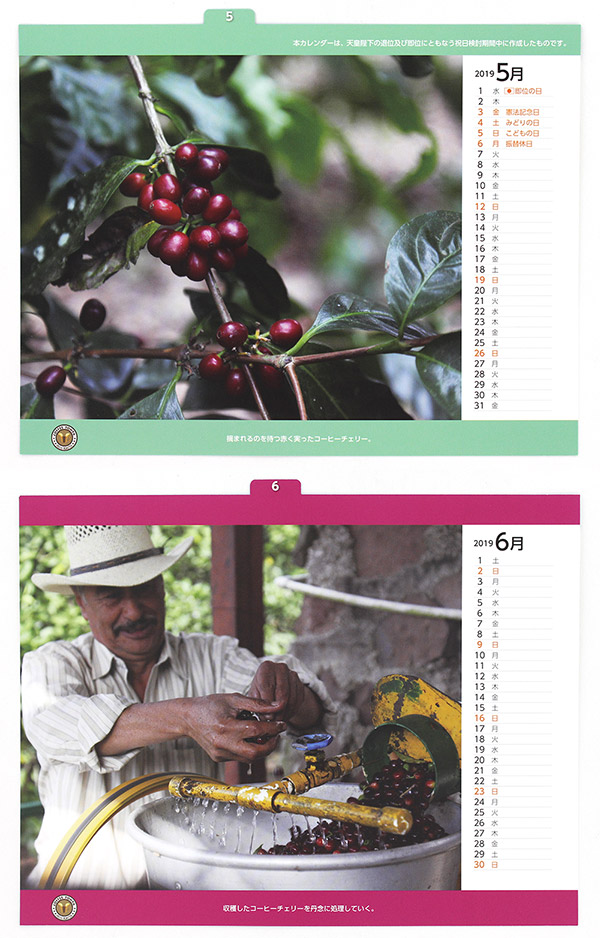 ����≮�I���W�i��2019�N���J�����_�[