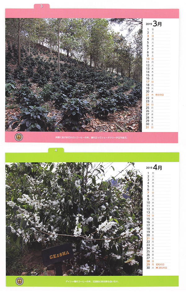 ����≮�I���W�i��2019�N���J�����_�[