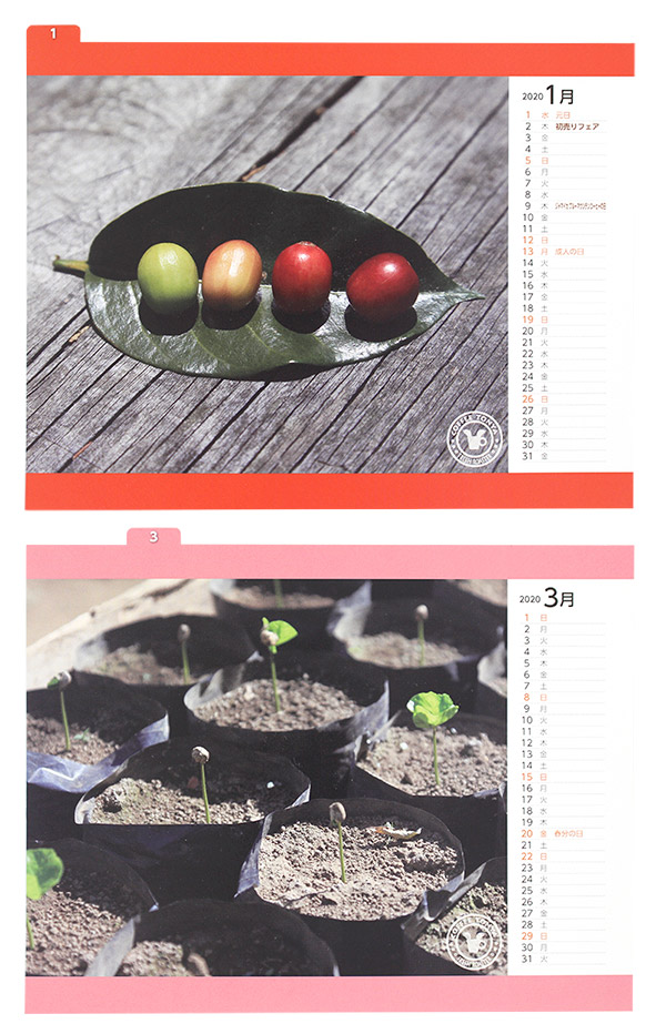 ����≮�I���W�i��2020�N���J�����_�[