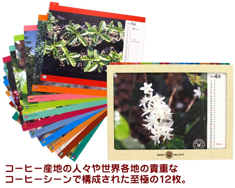 ����≮�I���W�i�����J�����_�[2024