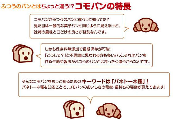 �����Ƃ��������I�R���p���A���̔閧�B