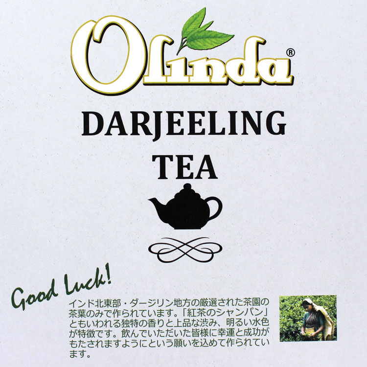 �y�g���z�I�����_ �_�[�W���� 100p�y�����ȑ�e�ʁz