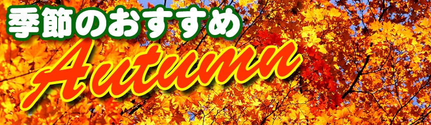 �G�߂̂������ߕi�i�H�j