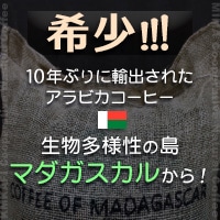 �}�_�K�X�J���R�[�q�[