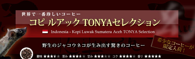 �X�}�g���A�`�F�E�R�s���A�b�N