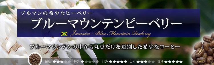 �󏭂Ȋۓ��u���[�}�E���e���s�[�x���[