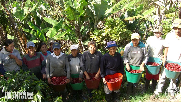 �R�����r�A�쐼�A�K�����X�ΎR�̘[�Ɉʒu����i���[�j����