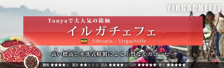 �C���K�`�F�t�F�̗ǎ��ȃR�[�q�[