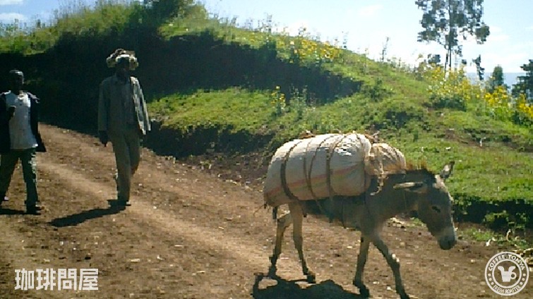 �C���K�`�F�t�F�C���[�W