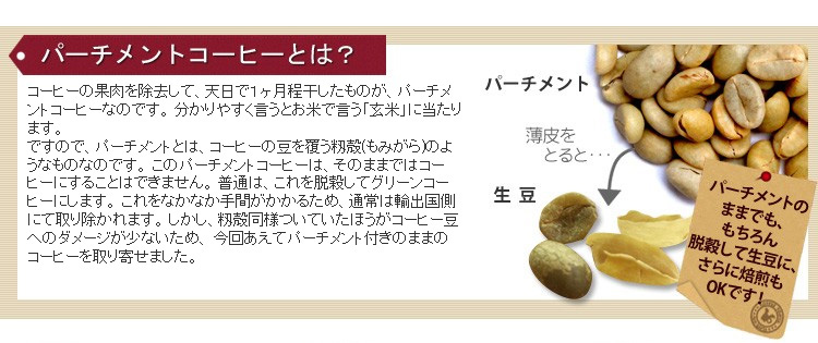 �p�[�`�����g�ɂ���1