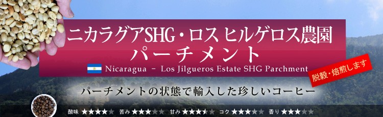 �j�J���O�A�E���X�E�q���Q���X�_���@�p�[�`�����g�@���蓤