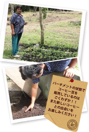 ���X�@�q���Q���X�_���p�[�`�����gPHOTO