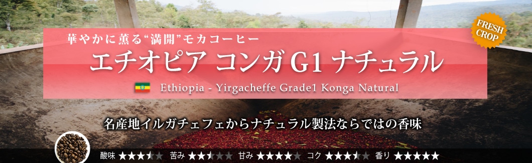 �G�`�I�s�A �R���KG1 �i�`������