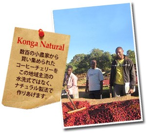 �G�`�I�s�A �R���KG1 �i�`�������ɂ���