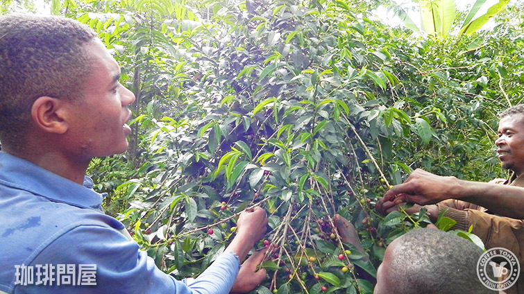 �G�`�I�s�A �R���KG1 �i�`������