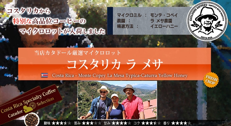 �R�X�^���J �� ���T - Costa Rica Monte Copey La Mesa Typica-Caturra Yellow Honey