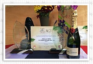 �R�X�^���J �� ���T�̍���