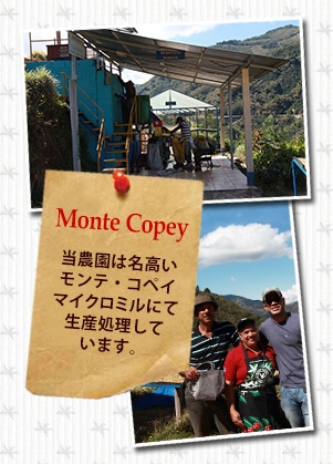 �R�X�^���J �� ���T�ɂ���