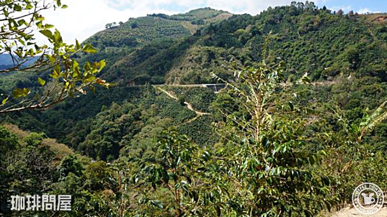 �R�X�^���J �� ���T