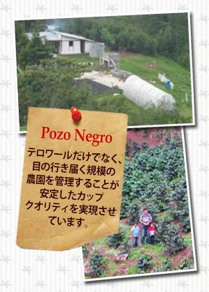 �z���W�����X �����e�V�[�W���X �u���{���ɂ���