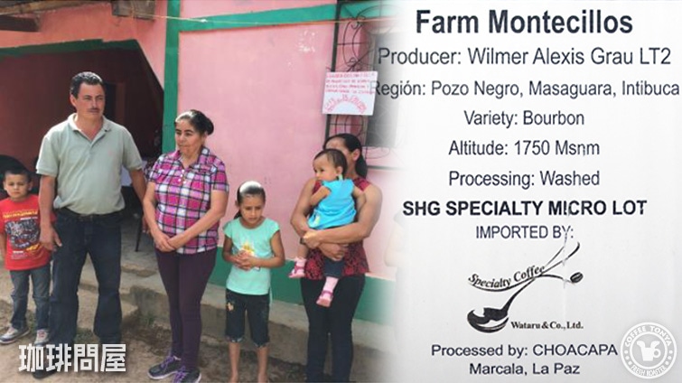 �z���W�����X �����e�V�[�W���X �u���{�� 1700