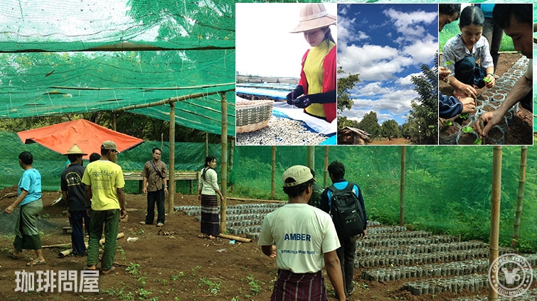 �~�����}�[ �V�������[�R�[�q�[