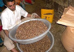 �R�[�q�[��I��