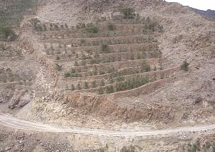 �}�s�ȎR�x�n�тɃR�[�q�[���͔|