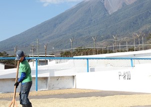 �O�A�e�}�����i