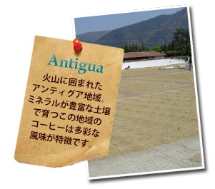 �A���e�B�O�A�n��ɂ���