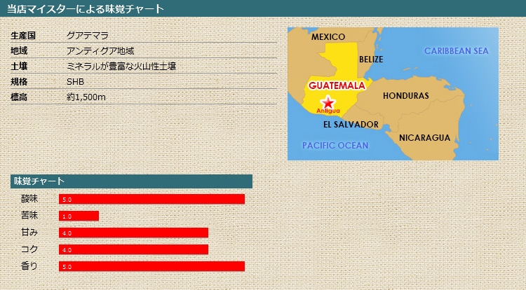 当店マイスターによる味覚チャート グアテマラ・アンティグア