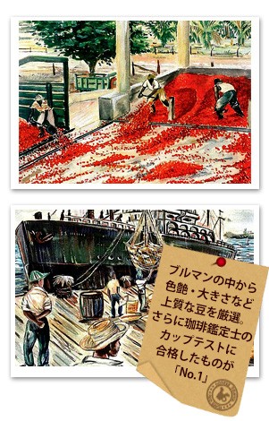 �u���[�}�E���e���̗��j