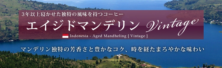 ������3�N�ȏ�A���n�̑q�ɂŐQ�������}���f����