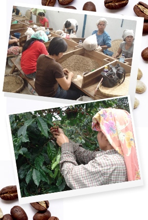 �G�C�W�h�}���f�����C���[�W