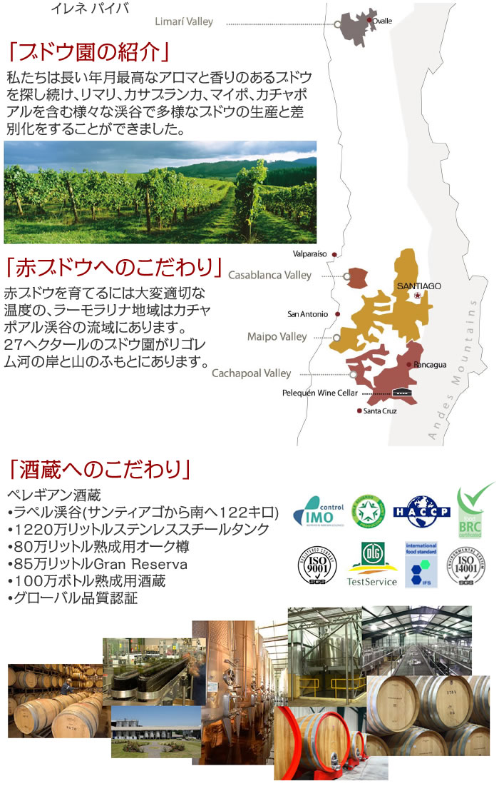 �r�X�^�}�[���E�u���[�U�@�J�x���l�E�\�[���B�j���� 