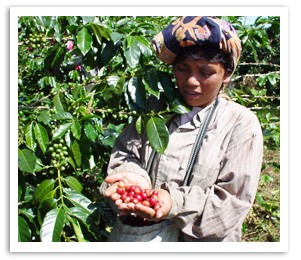 ����ȃR�[�q�[���������̂��A�Ƃ������킢