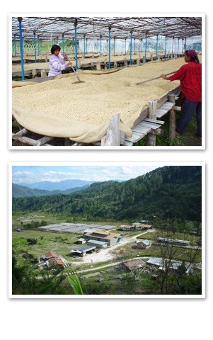 RANTE KARUA�i�����e�J���A�j