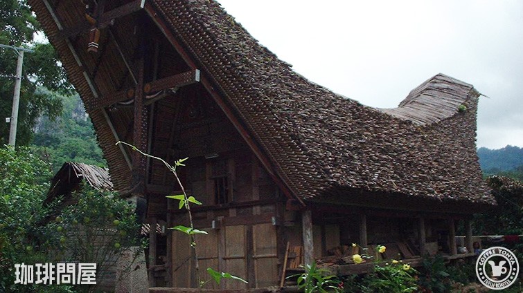 �C���h�l�V�A �g���W�������e�J���A �C���[�W